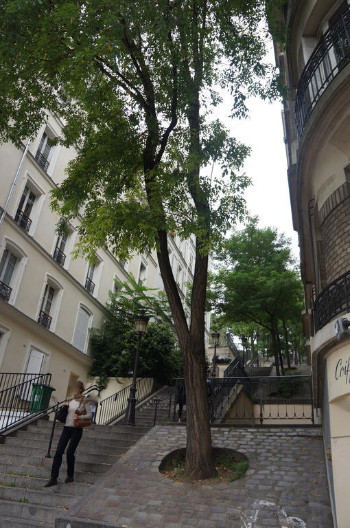 Studios de Charme à Montmartre Parigi Esterno foto